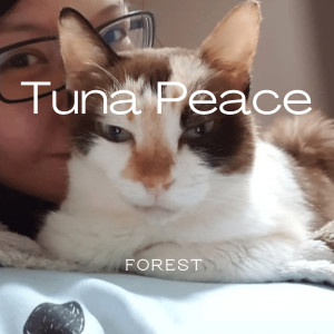 Listen to Tuna Peace song with lyrics from Forest