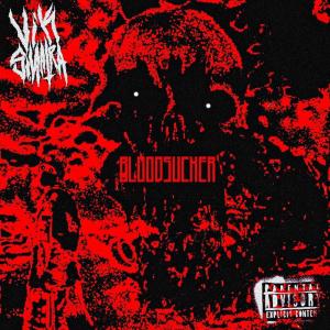 收聽vikāra的BLOODSUCKER (Explicit)歌詞歌曲