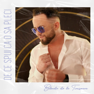 Listen to De Ce Spui Ca O Sa Pleci song with lyrics from Blondu' De La Timisoara