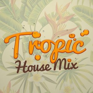 ดาวน์โหลดและฟังเพลง Bom Bom พร้อมเนื้อเพลงจาก Tropical House