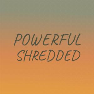 อัลบัม Powerful Shredded ศิลปิน Various