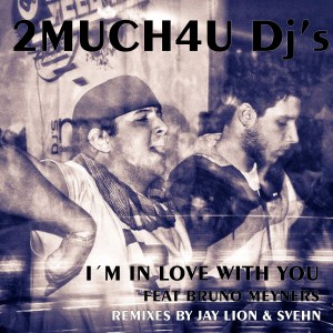 ดาวน์โหลดและฟังเพลง I'm in Love with You (Radio Edit) พร้อมเนื้อเพลงจาก 2Much4u