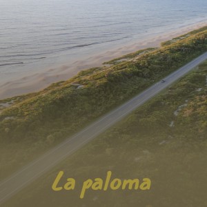 收聽Mantovani Orchestra的La Paloma歌詞歌曲