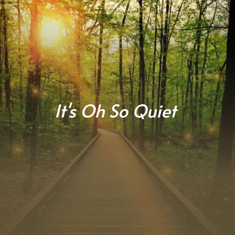 It's Oh so Quiet