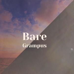 Album Bare Grampus from Various