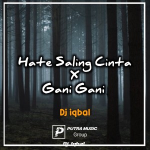 Dengarkan Hate Saling Cinta X Gani Gani (Remix) lagu dari Dj Iqbal dengan lirik