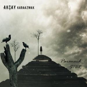 ดาวน์โหลดและฟังเพลง Fake Smile พร้อมเนื้อเพลงจาก Akcay Karaazmak
