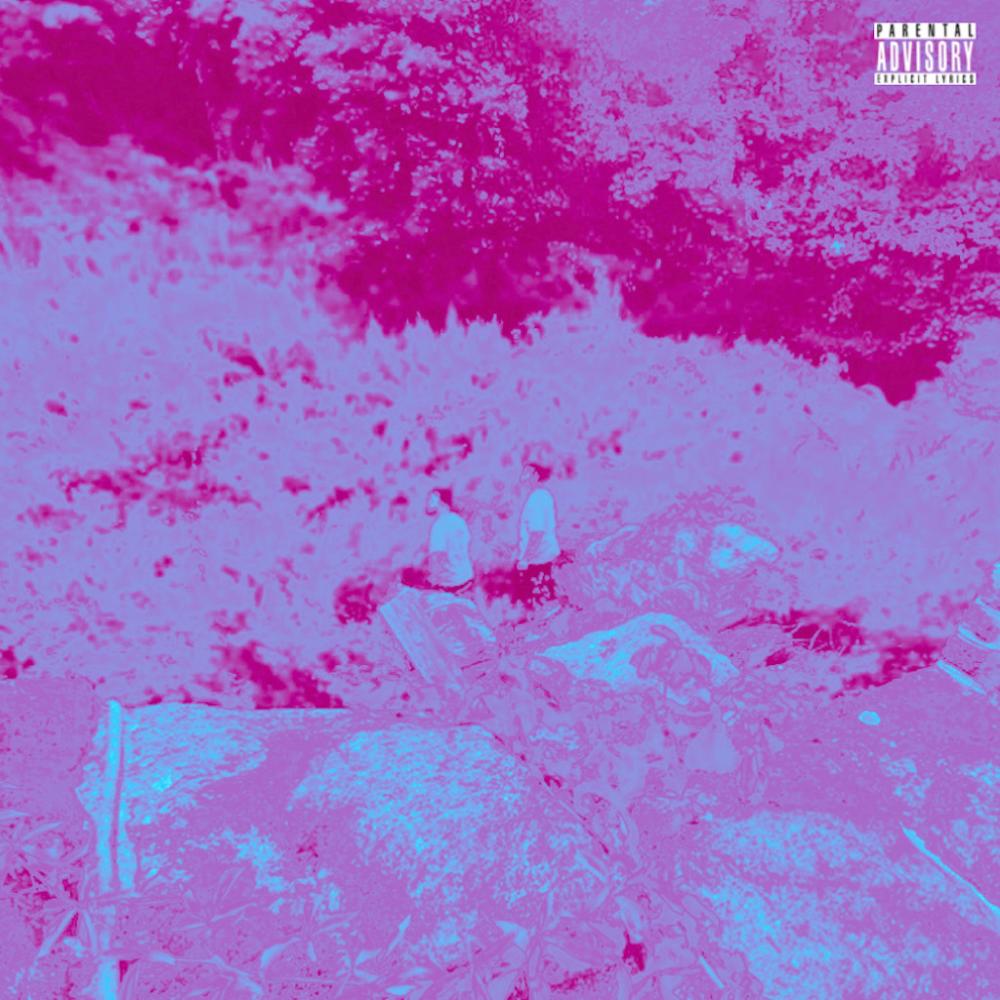 Hillary Bank$ (Explicit)