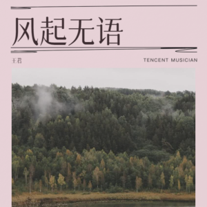 Album 风起无语 from 王君