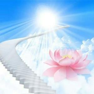 收聽Lolaugi的Wallflower歌詞歌曲