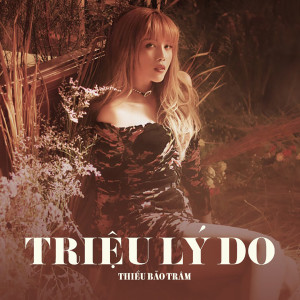 Listen to Triệu Lý Do song with lyrics from Thieu Bao Tram