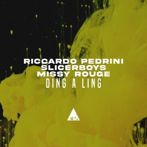 ดาวน์โหลดและฟังเพลง Ding a Ling (Original Mix) พร้อมเนื้อเพลงจาก Riccardo Pedrini