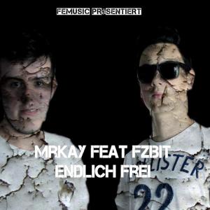 Listen to Endlich Frei (feat. Fzibit) song with lyrics from MrKay