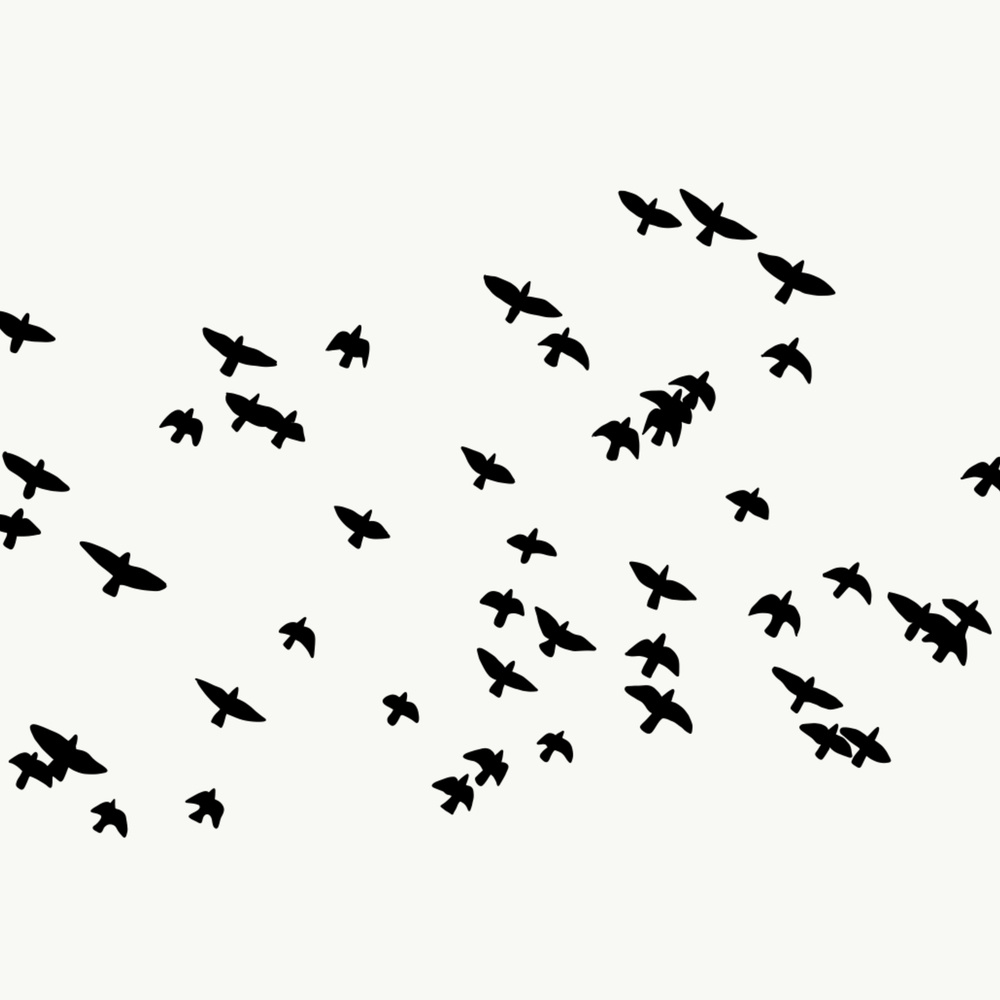 Flight