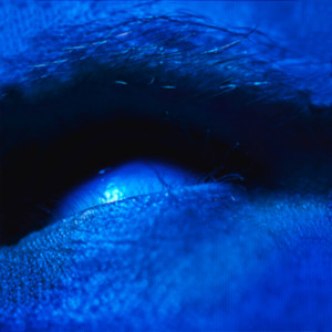 Listen to Wasted (Explicit) song with lyrics from 21plohoi