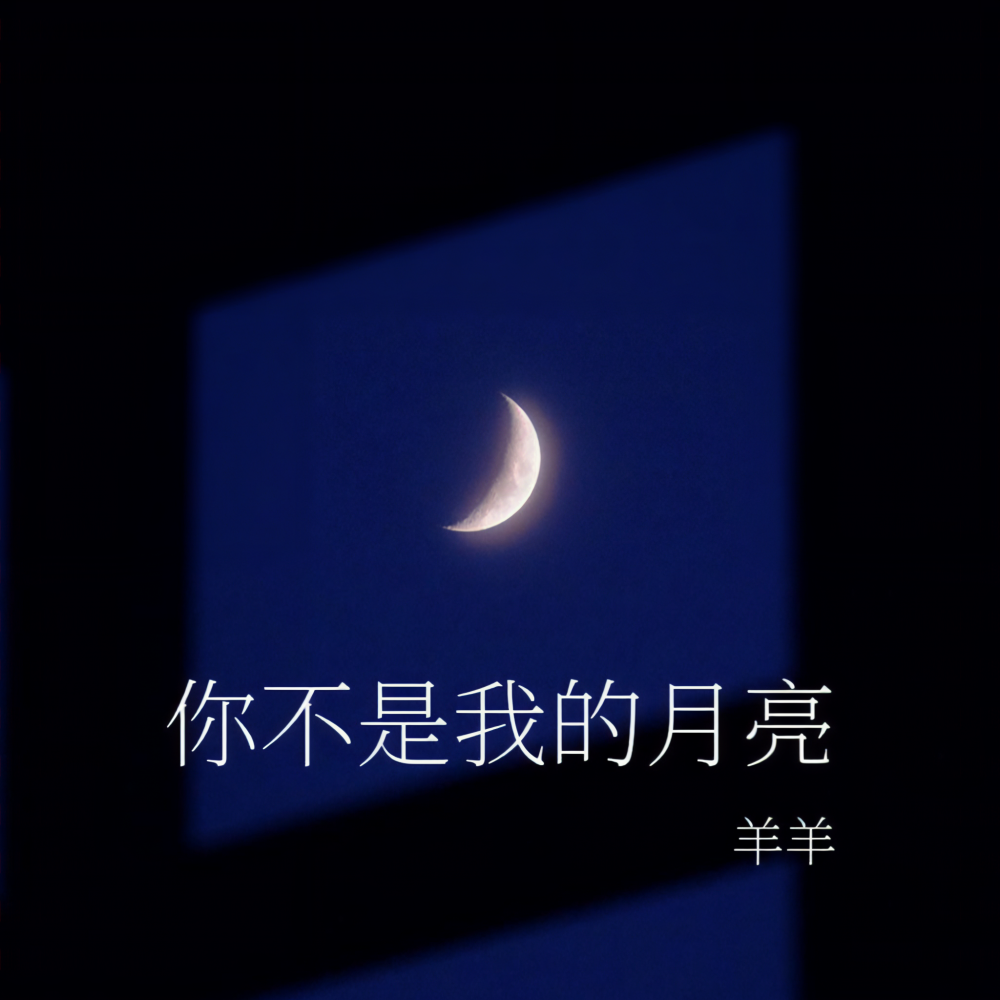 你不是我的月亮