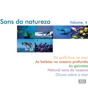 ดาวน์โหลดและฟังเพลง Chuva Sobre o Mar พร้อมเนื้อเพลงจาก Natural Sound