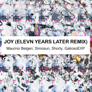 Maurino Belgeri的專輯Joy (Elevn Years Later Remix)
