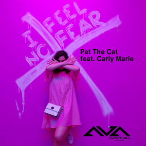 Dengarkan lagu I Feel No Fear (Freedom Radio Edit) nyanyian Pat The Cat dengan lirik