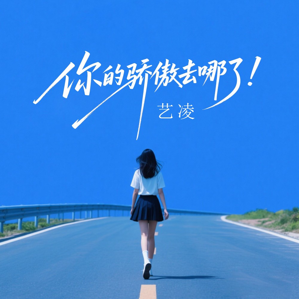 你的骄傲去哪了(DJ魅) (完整版)