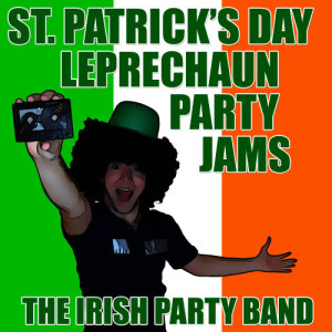 收聽The Irish Party Band的Do Ya歌詞歌曲