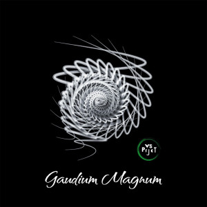 Listen to Gaudium Magnum song with lyrics from VS Prjct