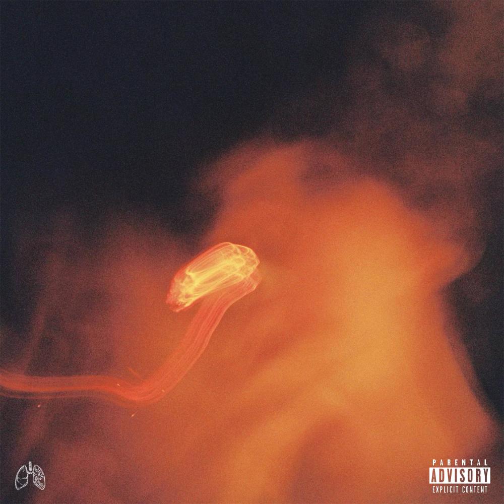 you might be right (Explicit)