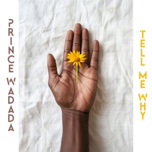 Prince Wadada的專輯Tell Me Why