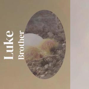 Listen to Luke Brother song with lyrics from Vins Kith