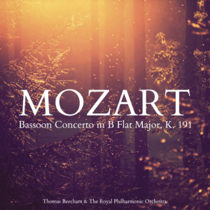 ดาวน์โหลดและฟังเพลง Bassoon Concerto in B Flat Major, K. 191: Allegro พร้อมเนื้อเพลงจาก Gwydion Brooke