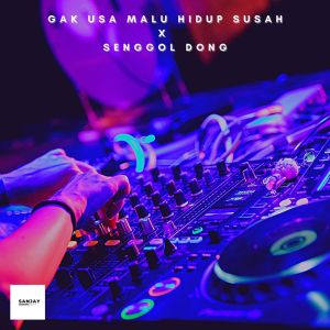 Album Gak Usa Malu Hidup Susah X Senggol Dong oleh DJ TikTok