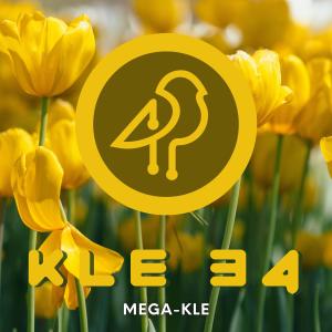 Various Artists的專輯KLE 34