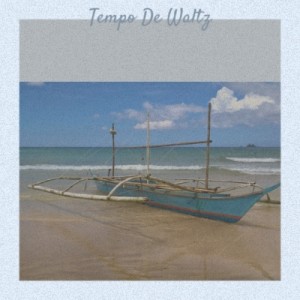 Martin Böttcher的專輯Tempo De Waltz (Explicit)