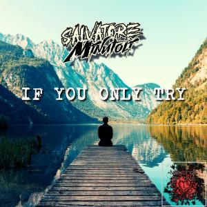 Album If You Only Try from Salvatore Minutoli