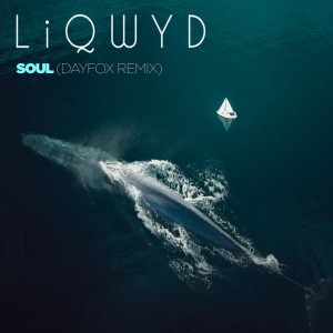 收聽LiQWYD的Soul (DayFox Remix)歌詞歌曲