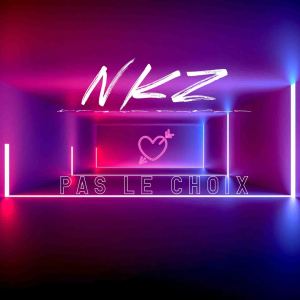 Listen to Pas le choix (Explicit) song with lyrics from NKZ