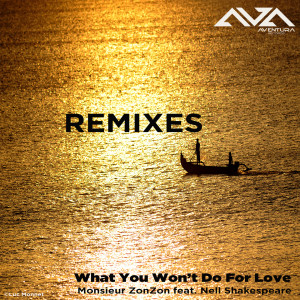 收聽Monsieur ZonZon的What You Won't Do for Love (Monsieur Zonzon Won't Give up Mix)歌詞歌曲