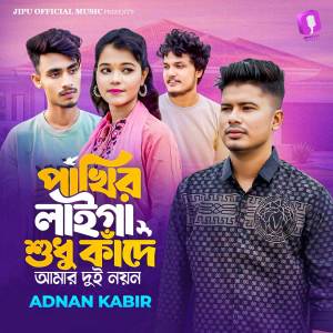 收聽Adnan Kabir的Pakhir Laiga Shudhu Kade歌詞歌曲