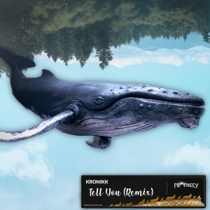 อัลบัม Tell You (kronikk Remix) ศิลปิน YuranM