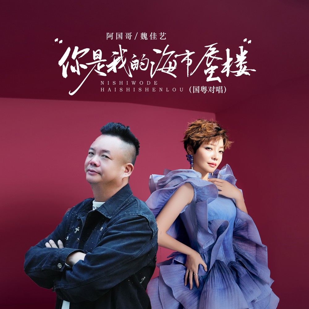 你是我的海市蜃楼（DJ京仔国粤对唱） (完整版)