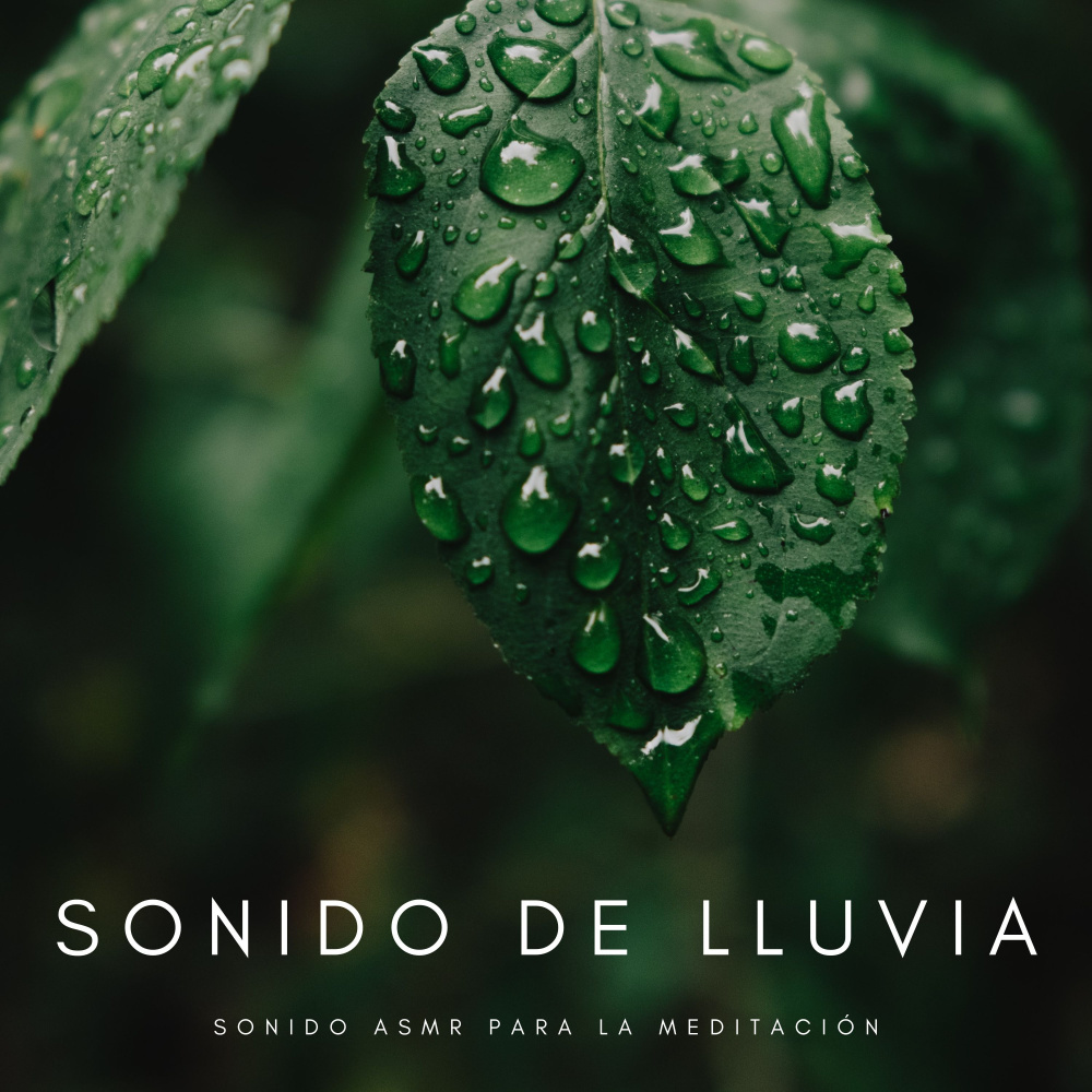 Sonido De Lluvia Relajante Para Dormir