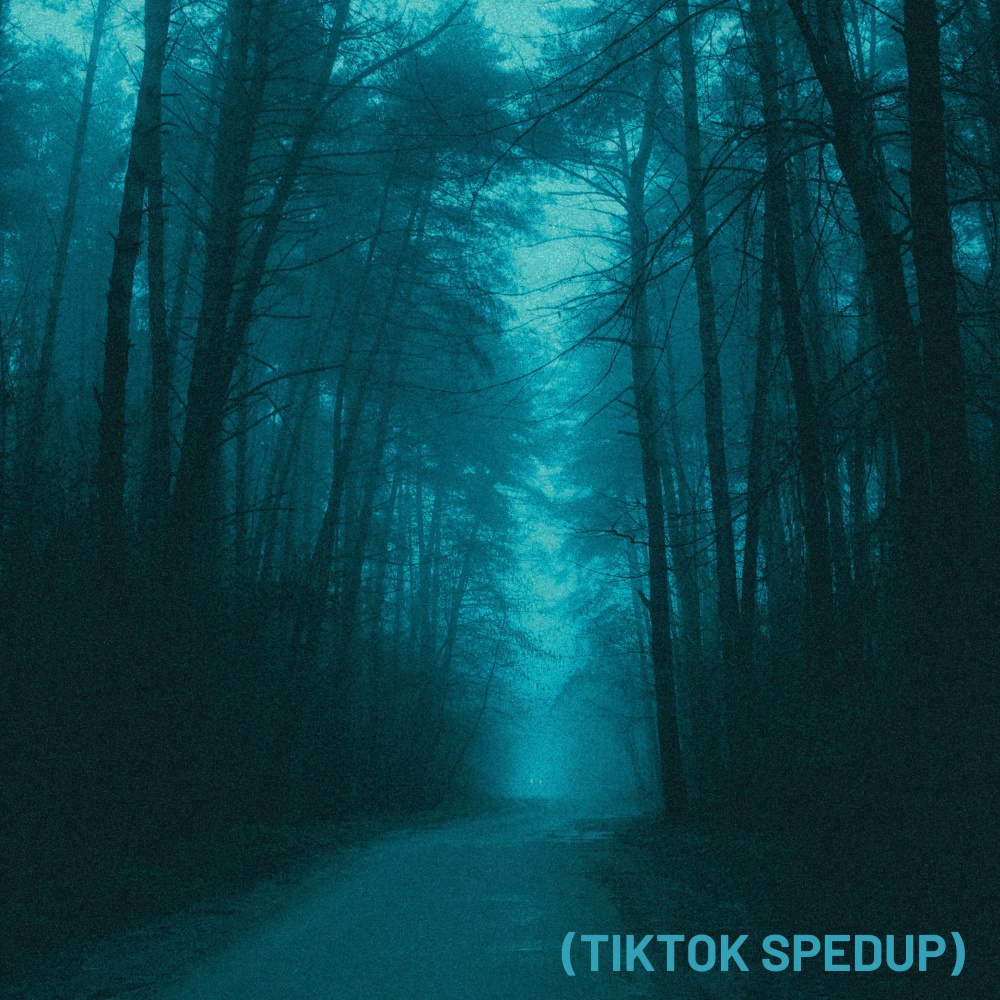 Oneheart (Tiktok Spedup)