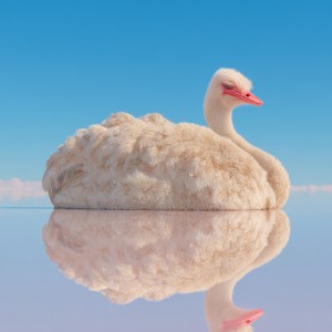 Album Without Thinking About the Consequences from 