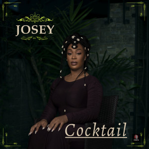 Josey的专辑Cocktail