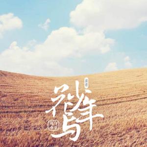 收聽蔣蔣的花與少年 (伴奏)歌詞歌曲