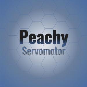 อัลบัม Peachy Servomotor ศิลปิน Various