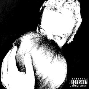 Album do it like this from krynX