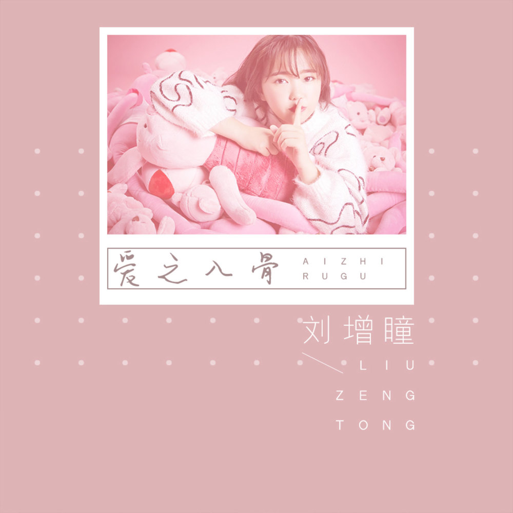 爱之入骨 (沈念版伴奏)