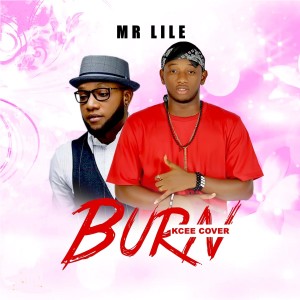 Album Burn from Mr Lile
