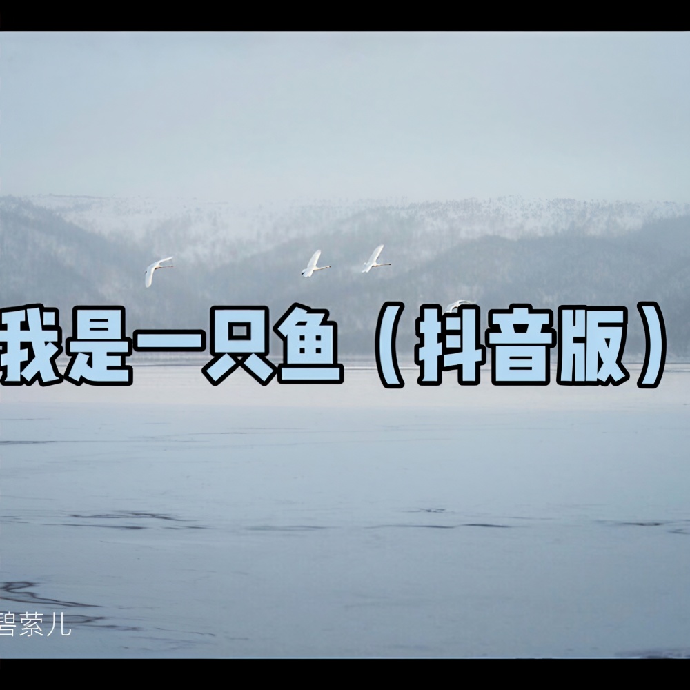 我是一只鱼 (抖音版)